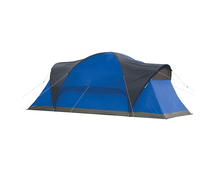 Easy to set up tent with hinged door